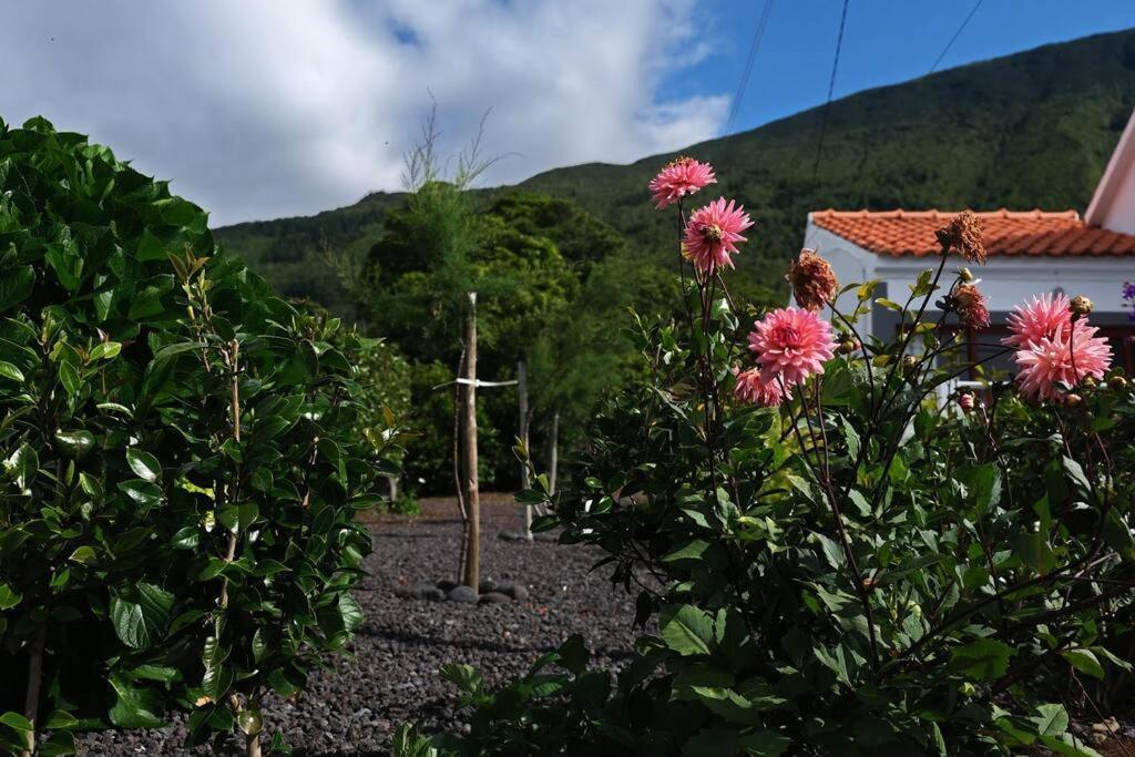 Sunflower Guest House - Madalena - Pico Sao Caetano  Exterior foto