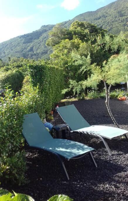 Sunflower Guest House - Madalena - Pico Sao Caetano  Exterior foto