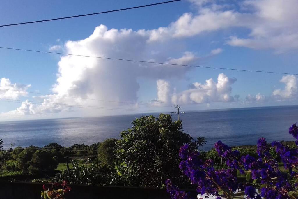 Sunflower Guest House - Madalena - Pico Sao Caetano  Exterior foto