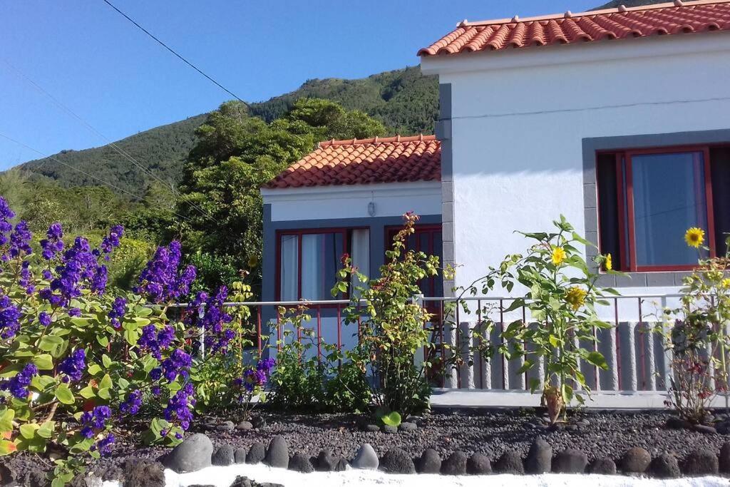 Sunflower Guest House - Madalena - Pico Sao Caetano  Exterior foto