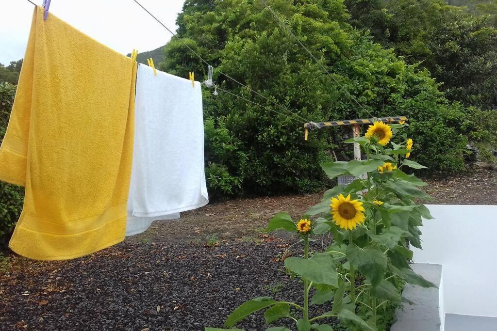 Sunflower Guest House - Madalena - Pico Sao Caetano  Exterior foto