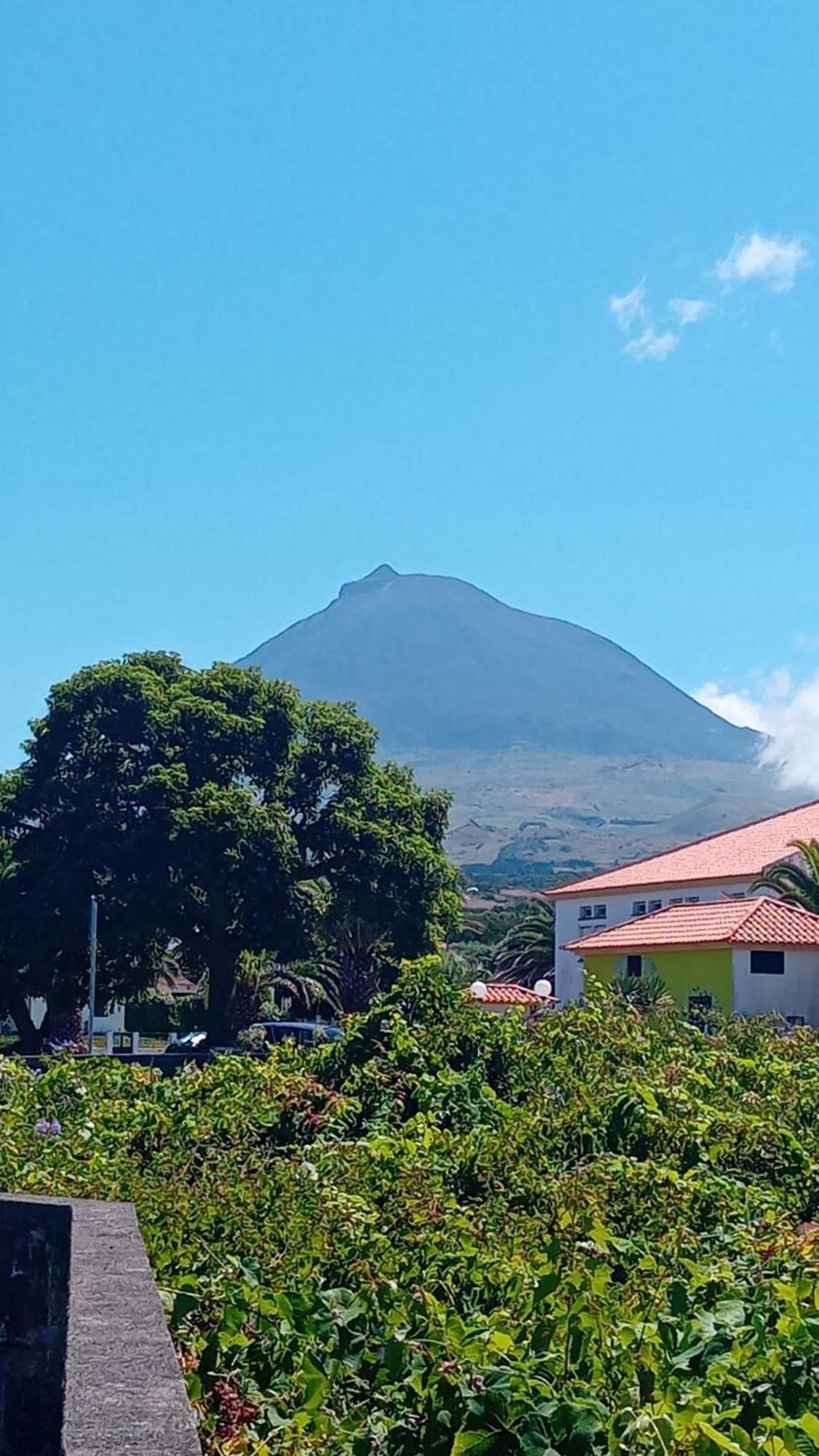 Sunflower Guest House - Madalena - Pico Sao Caetano  Exterior foto